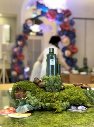 Origins | Mega Mushroom